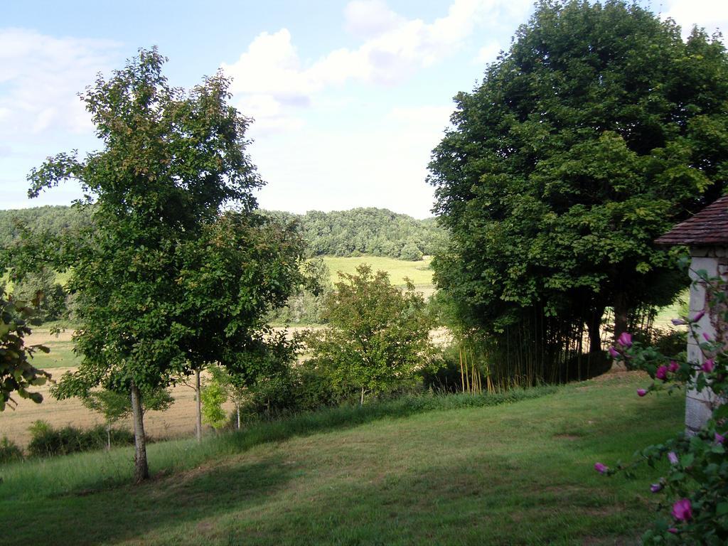 Gîte De Serre Le Grand-Pressigny Zimmer foto